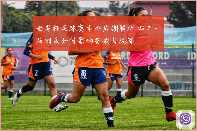 世界杯足球赛举办周期解析 四年一届制度如何影响备战与观赛