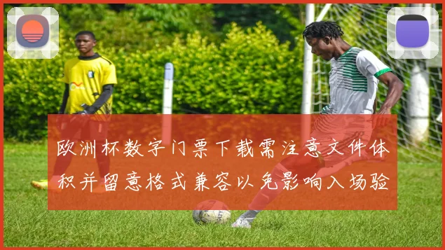 欧洲杯数字门票下载需注意文件体积并留意格式兼容以免影响入场验证