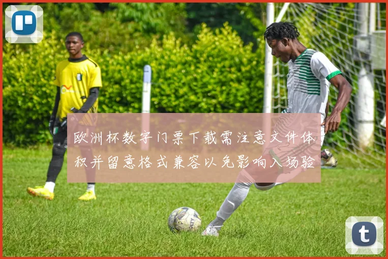 欧洲杯数字门票下载需注意文件体积并留意格式兼容以免影响入场验证