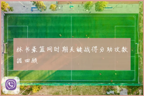 林书豪篮网时期关键战得分助攻数据回顾