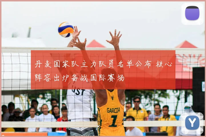 丹麦国家队主力队员名单公布 核心阵容出炉备战国际赛场